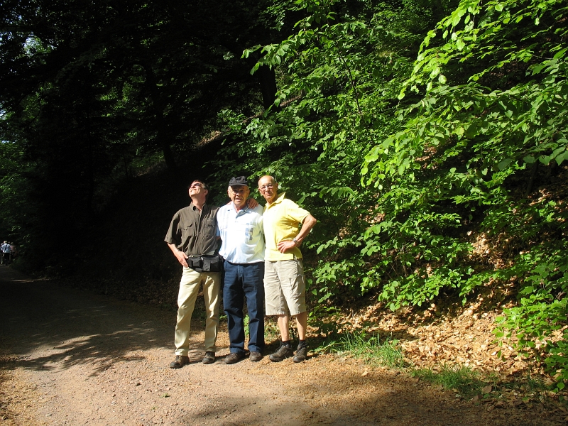 Wanderung 2011 034.jpg